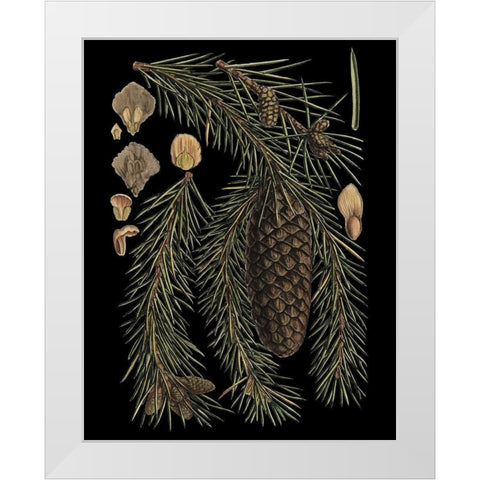Dramatic Conifers III White Modern Wood Framed Art Print by Vision Studio