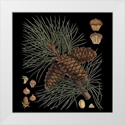 Dramatic Conifers V White Modern Wood Framed Art Print by Vision Studio