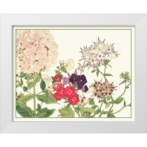 Japanese Flower Garden II White Modern Wood Framed Art Print by Konan, Tanigami