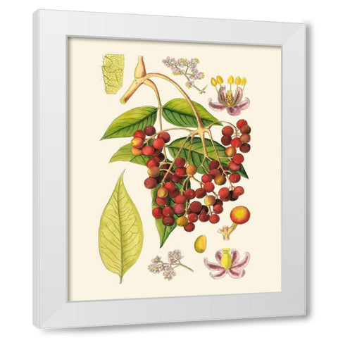 Crimson Berries IV White Modern Wood Framed Art Print by Curtis
