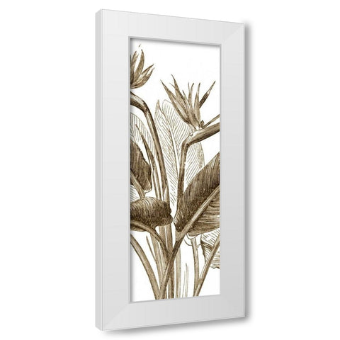 Bird of Paradise Triptych II White Modern Wood Framed Art Print by Vision Studio