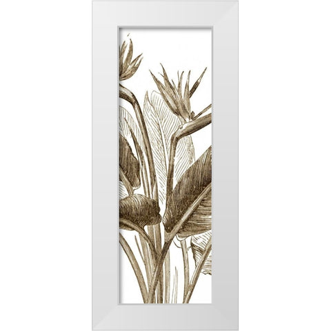 Bird of Paradise Triptych II White Modern Wood Framed Art Print by Vision Studio