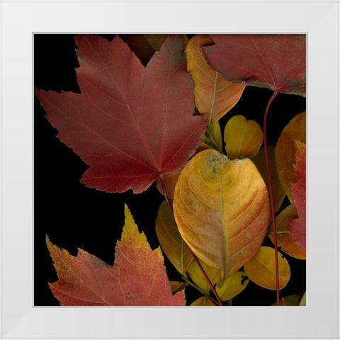 Vivid Leaves IV White Modern Wood Framed Art Print by Vision Studio