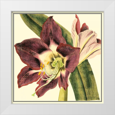 Poetic Blossoms III White Modern Wood Framed Art Print by Vision Studio