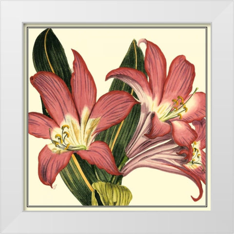 Poetic Blossoms IV White Modern Wood Framed Art Print by Vision Studio