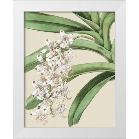 Orchid Blooms I White Modern Wood Framed Art Print by Vision Studio