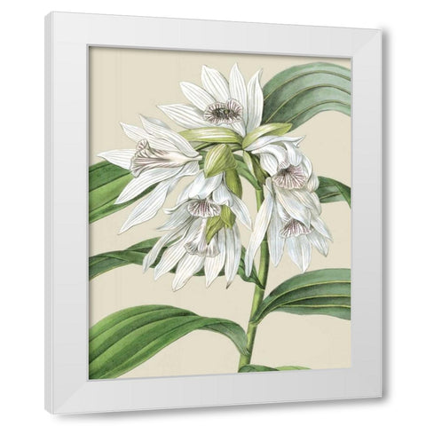 Orchid Blooms III White Modern Wood Framed Art Print by Vision Studio