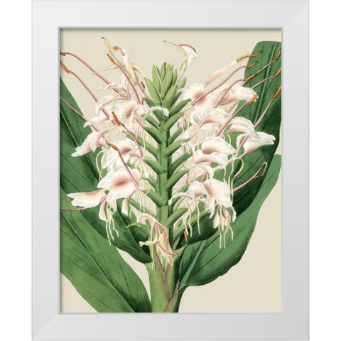 Orchid Blooms IV White Modern Wood Framed Art Print by Vision Studio
