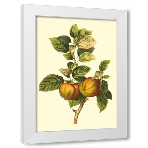Bessa Apple White Modern Wood Framed Art Print by Bessa