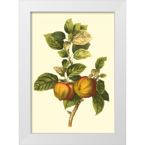 Bessa Apple White Modern Wood Framed Art Print by Bessa