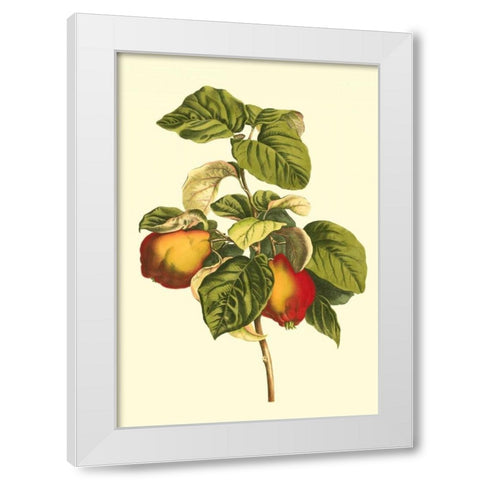 Bessa Pear White Modern Wood Framed Art Print by Bessa
