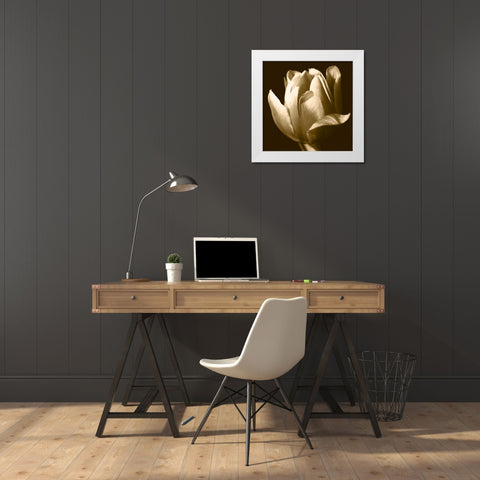 Sepia Tulip II White Modern Wood Framed Art Print by Stramel, Renee W.