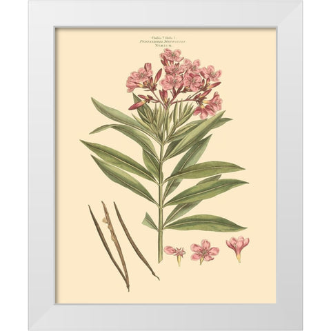 Blushing Pink Florals III White Modern Wood Framed Art Print by Miller, John
