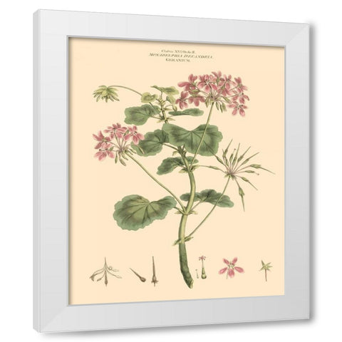 Blushing Pink Florals IV White Modern Wood Framed Art Print by Miller, John