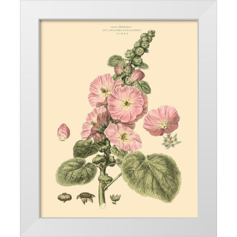 Blushing Pink Florals V White Modern Wood Framed Art Print by Miller, John