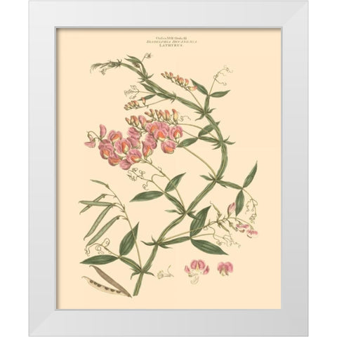 Blushing Pink Florals VI White Modern Wood Framed Art Print by Miller, John