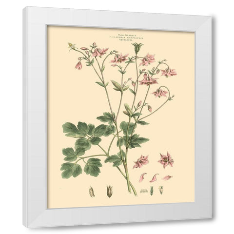Blushing Pink Florals IX White Modern Wood Framed Art Print by Miller, John