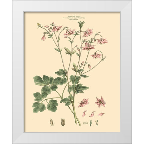 Blushing Pink Florals IX White Modern Wood Framed Art Print by Miller, John
