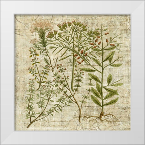 Garden Verses I White Modern Wood Framed Art Print by Vision Studio