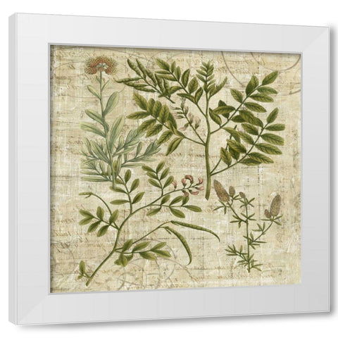 Garden Verses II White Modern Wood Framed Art Print by Vision Studio