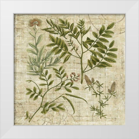 Garden Verses II White Modern Wood Framed Art Print by Vision Studio