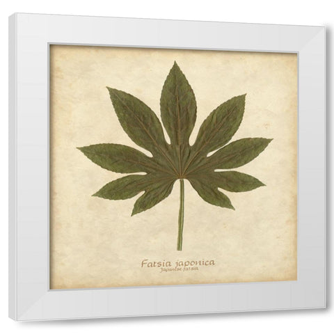 Japanese Fatsia White Modern Wood Framed Art Print by Davis, Becky