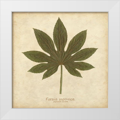 Japanese Fatsia White Modern Wood Framed Art Print by Davis, Becky