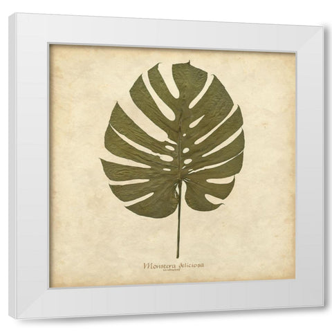 Windowleaf White Modern Wood Framed Art Print by Davis, Becky