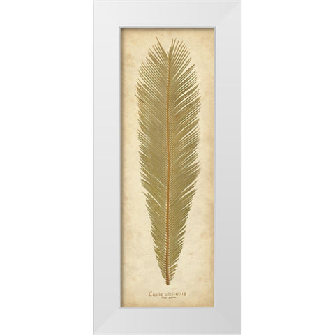 Sago Palm I White Modern Wood Framed Art Print by Davis, Becky