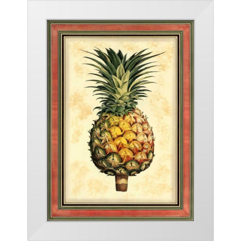 Pineapple Splendor I White Modern Wood Framed Art Print by Vision Studio