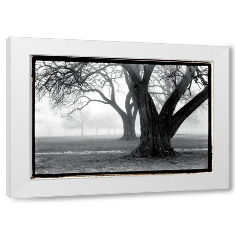 Strength - Beauty White Modern Wood Framed Art Print by DeNardo, Laura