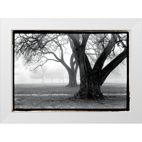 Strength - Beauty White Modern Wood Framed Art Print by DeNardo, Laura