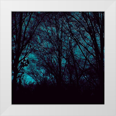 Nocturne III White Modern Wood Framed Art Print by Ludwig, Alicia