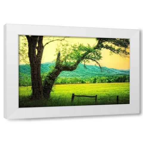Morning at the Cove II White Modern Wood Framed Art Print by Head, Danny
