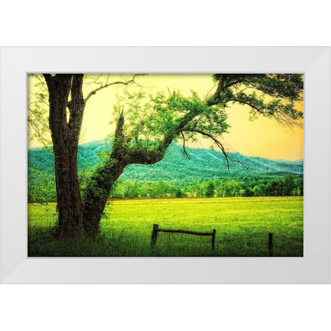 Morning at the Cove II White Modern Wood Framed Art Print by Head, Danny