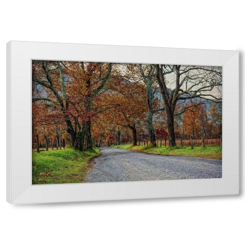 Morning on Sparks Lane I White Modern Wood Framed Art Print by Head, Danny