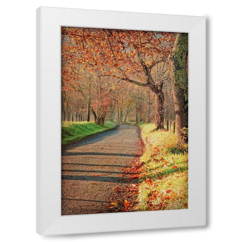 Morning on Sparks Lane III White Modern Wood Framed Art Print by Head, Danny