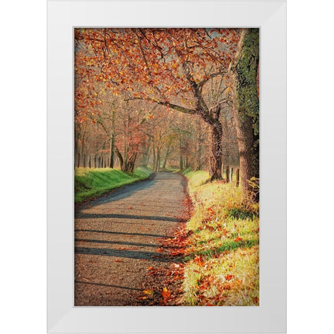 Morning on Sparks Lane III White Modern Wood Framed Art Print by Head, Danny