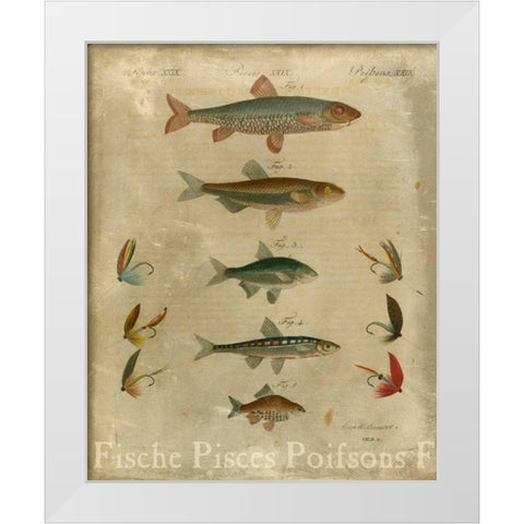 Pisces Composition I White Modern Wood Framed Art Print by Vision Studio