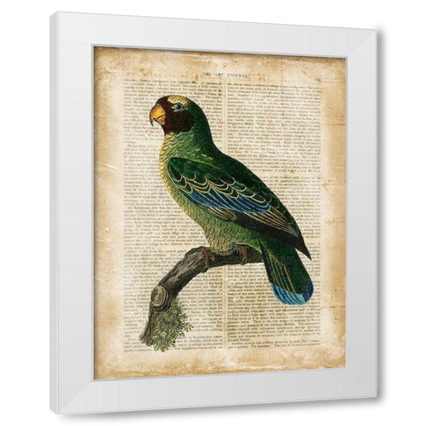 Antiquarian Birds VI White Modern Wood Framed Art Print by Vision Studio