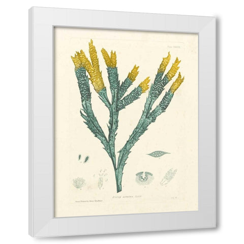 Luminous Seaweed I White Modern Wood Framed Art Print by Bradbury, Henry