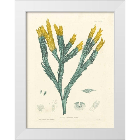 Luminous Seaweed I White Modern Wood Framed Art Print by Bradbury, Henry