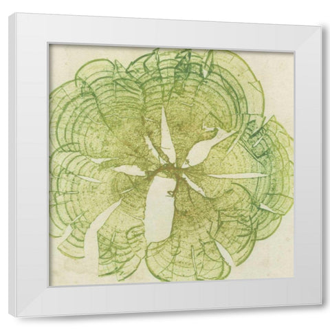 Brilliant Seaweed VIII White Modern Wood Framed Art Print by Vision Studio