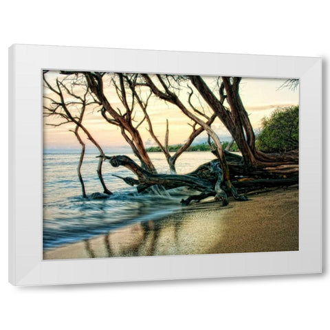 Reaching for the Sea I White Modern Wood Framed Art Print by Head, Danny