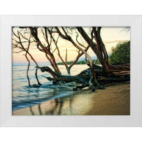 Reaching for the Sea I White Modern Wood Framed Art Print by Head, Danny