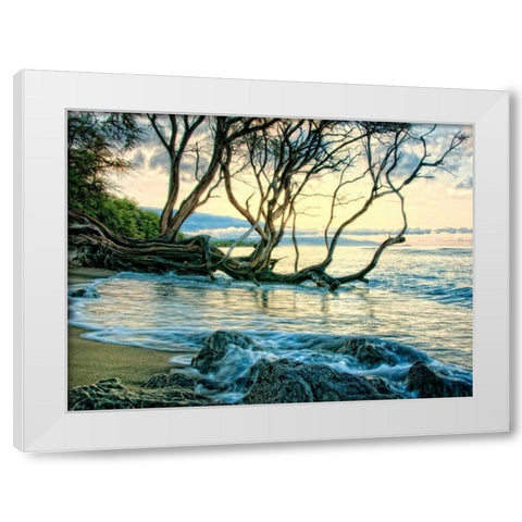 Reaching for the Sea II White Modern Wood Framed Art Print by Head, Danny