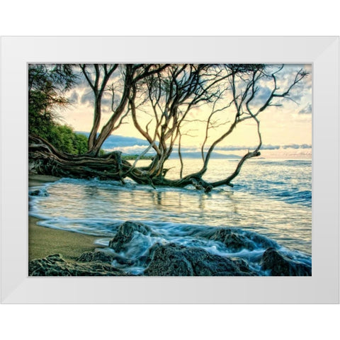 Reaching for the Sea II White Modern Wood Framed Art Print by Head, Danny
