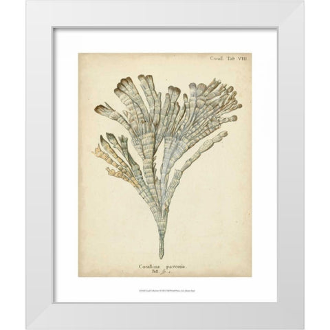 Coral Collection I White Modern Wood Framed Art Print by Esper, Johann