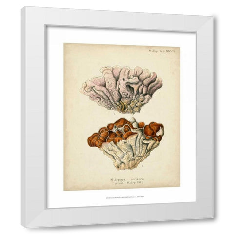 Coral Collection II White Modern Wood Framed Art Print by Esper, Johann
