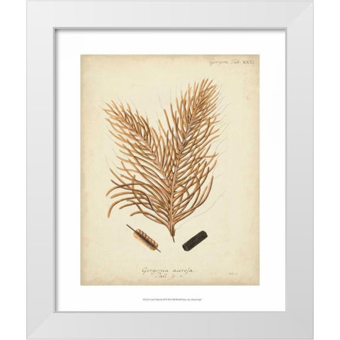 Coral Collection III White Modern Wood Framed Art Print by Esper, Johann